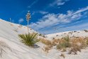 021 White Sands NM